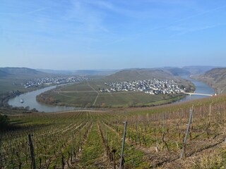 Appartement Neumagen-Dhron Omgeving 34