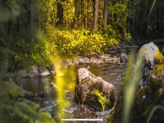 Appartamento Neumagen-Dhron Ambiente 35