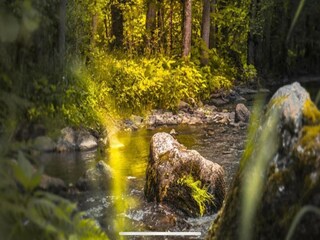 Appartement Neumagen-Dhron Environnement 36