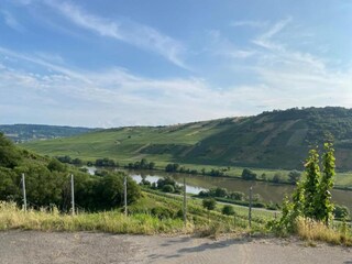 Apartment Neumagen-Dhron Umgebung 39