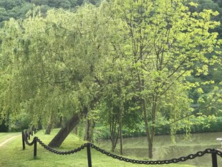 Appartement Neumagen-Dhron Environnement 36