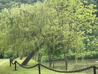 Appartement Neumagen-Dhron Environnement 39