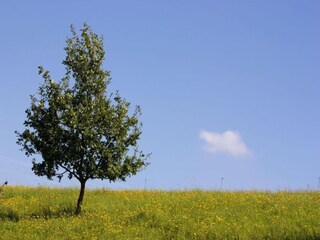 Casa per le vacanze Geisfeld Ambiente 23