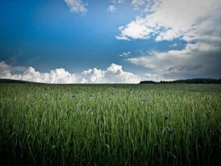 Maison de vacances Geisfeld Environnement 23