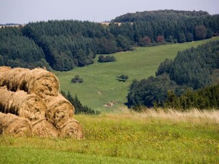 Vakantiehuis Geisfeld Omgeving 26