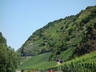 Apartamento Merschbach Entorno 26