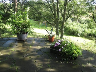 Ferienhaus Kleinich Außenaufnahme 13