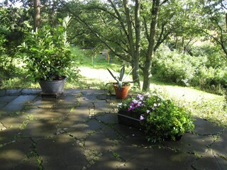 Holiday house Kleinich Outdoor Recording 11