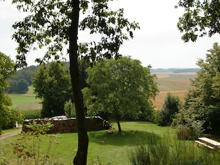 Ferienhaus Kleinich Außenaufnahme 18