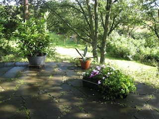 Holiday house Kleinich Outdoor Recording 18