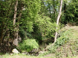 Maison de vacances Maring-Noviand Environnement 37