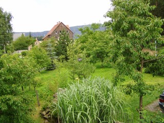 Blick in den Garten