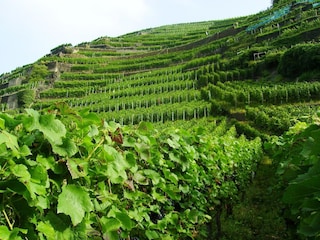 Apartment Deuselbach Outdoor Recording 5