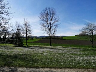 Apartamento Deuselbach Entorno 22