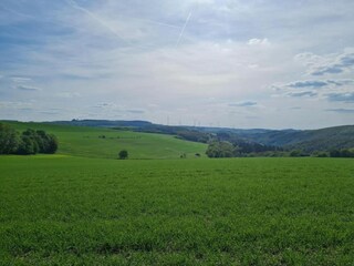 Appartement Deuselbach Environnement 17