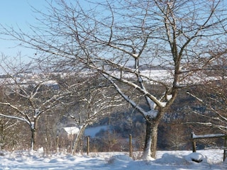 Apartment Deuselbach Environment 28