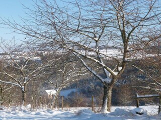 Appartement Deuselbach Omgeving 28