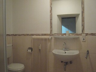 Type de propriété : Chalet Deuselbach Équipement 13