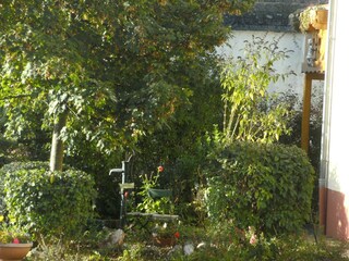 Cottage Deuselbach Outdoor Recording 10