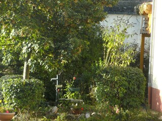 Landhaus Deuselbach Außenaufnahme 11