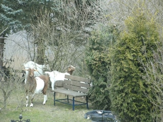 Landhaus Deuselbach Außenaufnahme 3