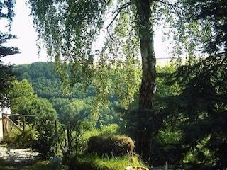 Landhaus Deuselbach Außenaufnahme 11