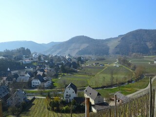 Appartement Deuselbach Environnement 25