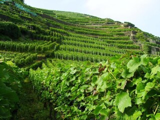 Apartment Deuselbach Umgebung 23