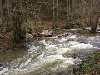 Appartamento Deuselbach Ambiente 26