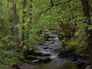 Appartement Deuselbach Omgeving 36