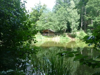 Apartamento de vacaciones Neunkirchen in Baden Entorno 16