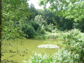 Appartamento per vacanze Neunkirchen in Baden Ambiente 15