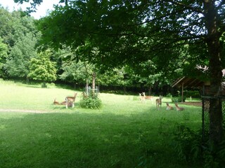 Appartamento per vacanze Neunkirchen in Baden Ambiente 19