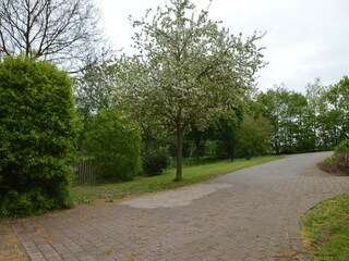 Appartement Oberkail Buitenaudio-opname 6
