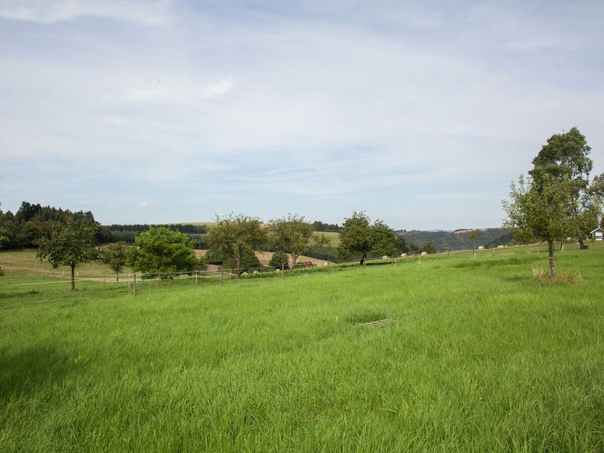 Apartment Bettenfeld Umgebung 4