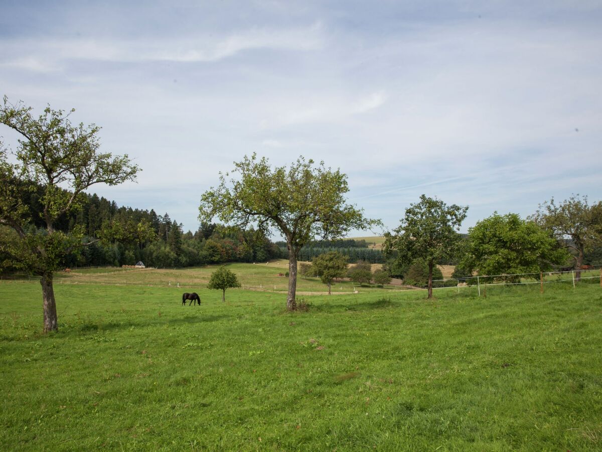 Apartment Bettenfeld Umgebung 5