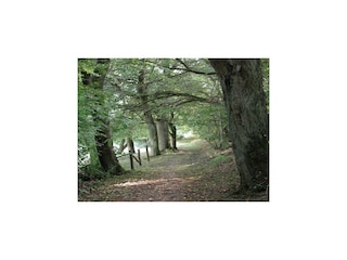 Appartement Oberkail Omgeving 21
