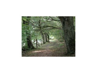 Appartement Oberkail Omgeving 22