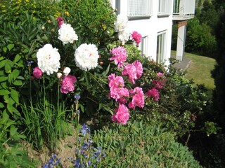 Apartamento Strotzbüsch  23
