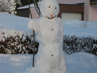 Appartement Strotzbüsch Buitenaudio-opname 11