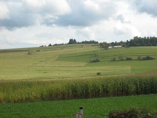 Apartment Ellscheid Environment 30