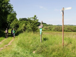 Apartment Ellscheid Umgebung 33