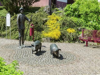 Appartement Ellscheid Environnement 28