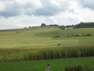 Apartment Ellscheid Umgebung 32
