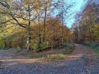 Apartment Immerath Umgebung 22