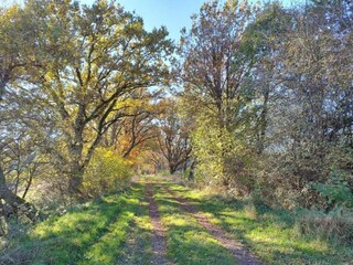 Appartamento Immerath Ambiente 39