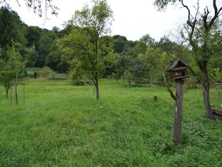 Appartement Immerath Buitenaudio-opname 6