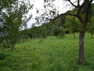 Apartment Immerath Außenaufnahme 3