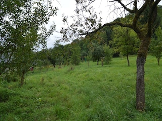 Appartamento Immerath Registrazione all'aperto 3