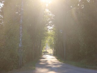 Appartement Gerolstein Omgeving 31